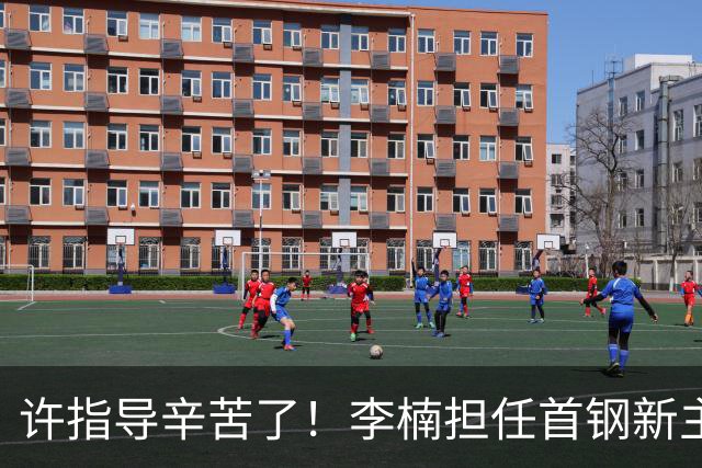 许指导辛苦了！李楠担任首钢新主帅 赵睿态度非争冠唯一障碍